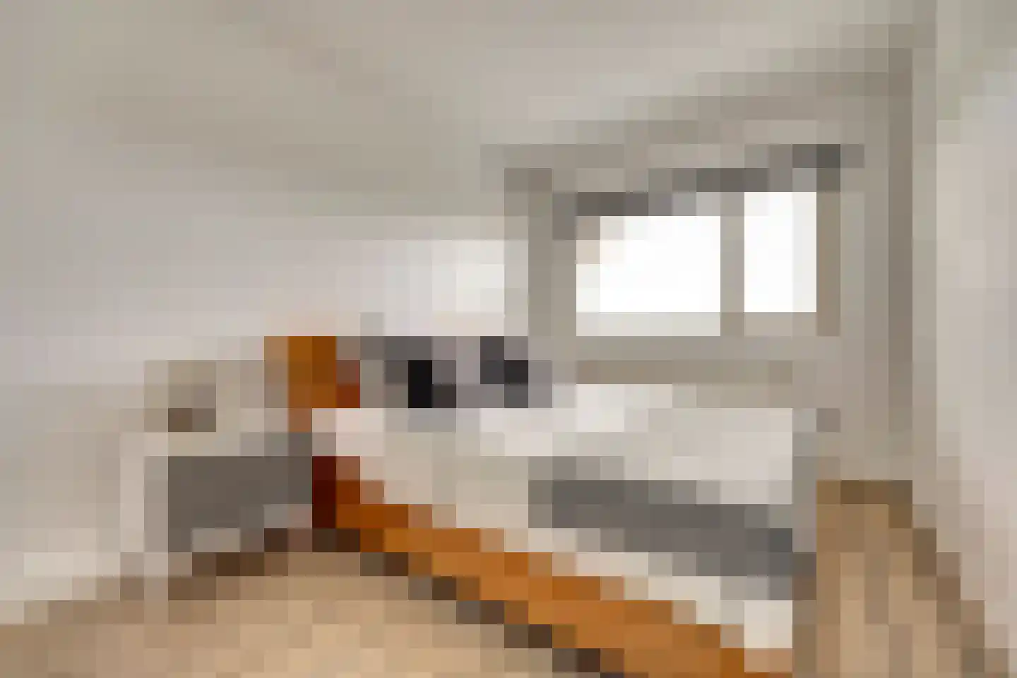Akeleistraat 26 E Spijkenisse thumbnail 8