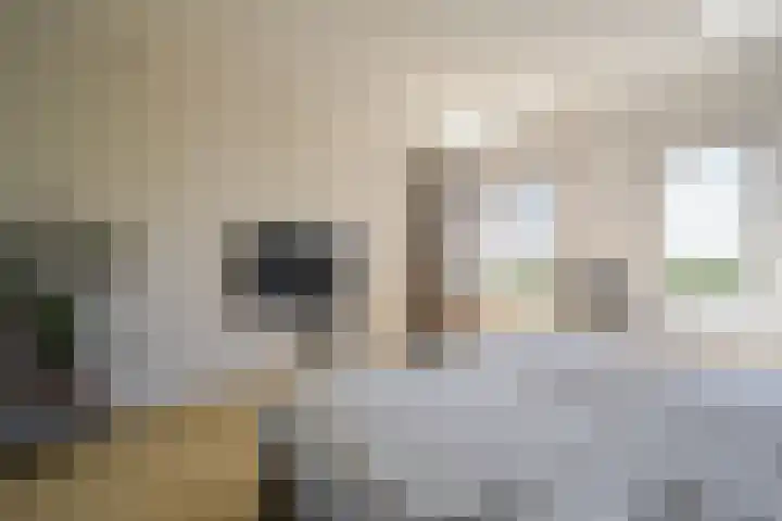 Akeleistraat 28 E Spijkenisse thumbnail 29