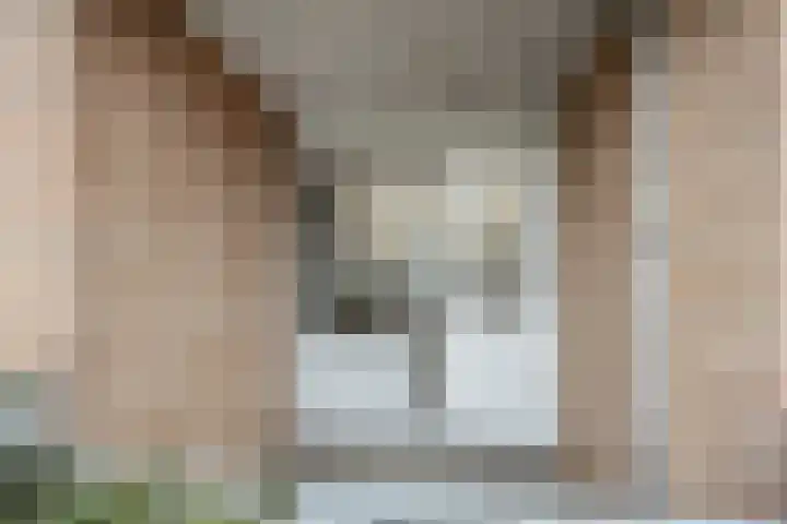 Akeleistraat 3 's-Hertogenbosch thumbnail 13