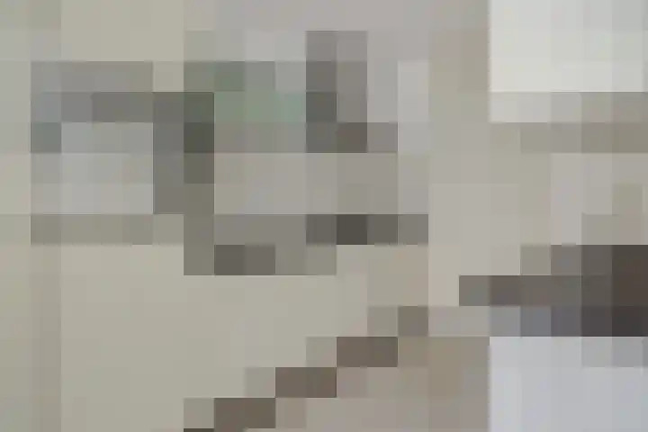 Akeleistraat 3 's-Hertogenbosch thumbnail 8