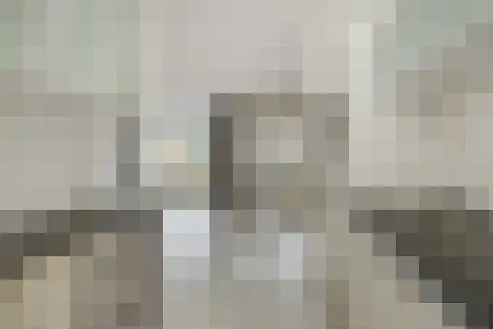 Akeleistraat 3 's-Hertogenbosch thumbnail 9