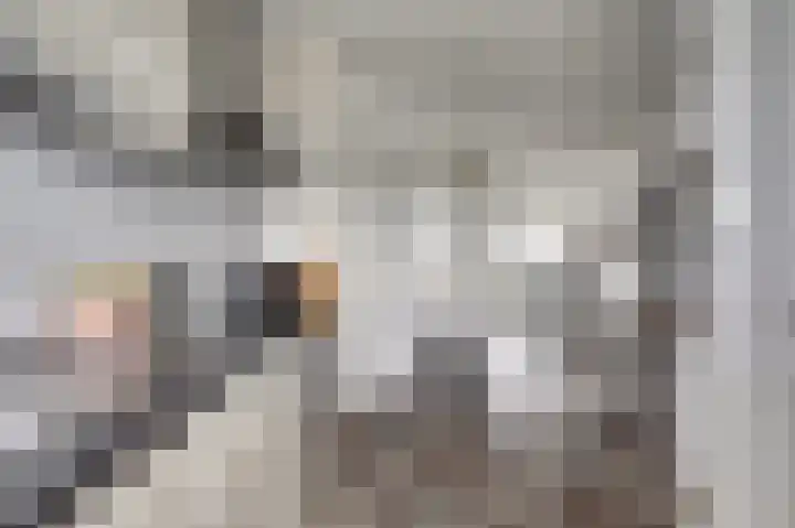 Akeleistraat 34 H Spijkenisse thumbnail 4