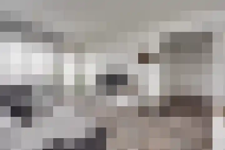 Akeleistraat 34 H Spijkenisse thumbnail 5