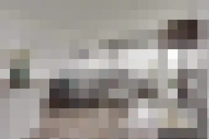 Akeleistraat 34 H Spijkenisse thumbnail 6