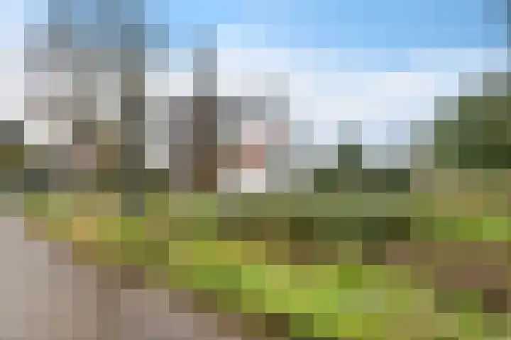Akeleistraat 4 Alkmaar thumbnail 31