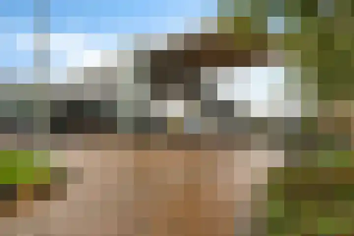 Akeleistraat 4 Alkmaar thumbnail 33
