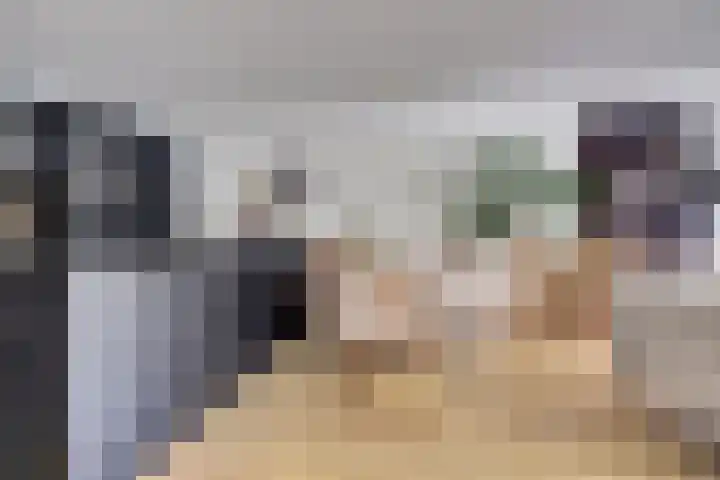 Akeleistraat 4 B Spijkenisse thumbnail 10