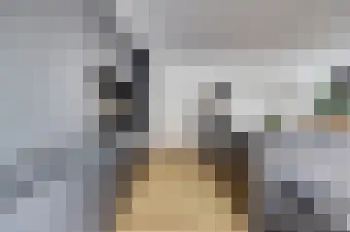 Akeleistraat 4 B Spijkenisse thumbnail 11
