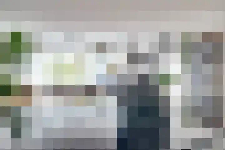 Akeleistraat 4 B Spijkenisse thumbnail 12