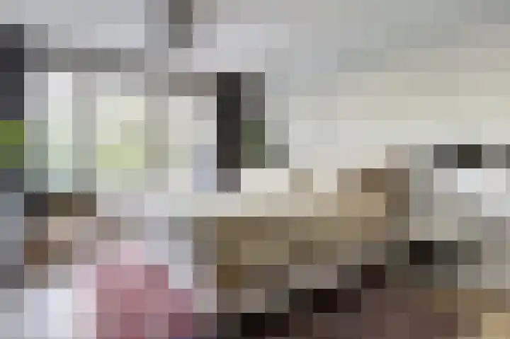 Akeleistraat 4 B Spijkenisse thumbnail 16
