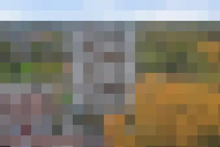 Akeleistraat 4 B Spijkenisse thumbnail 27
