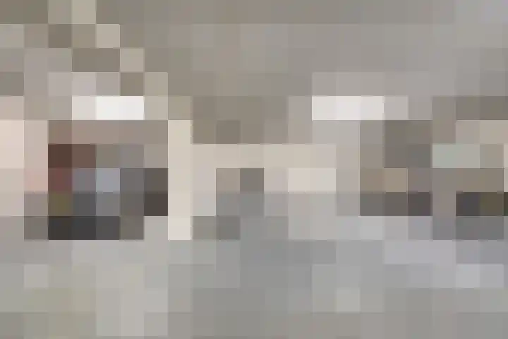 Akeleistraat 4 B Spijkenisse thumbnail 33