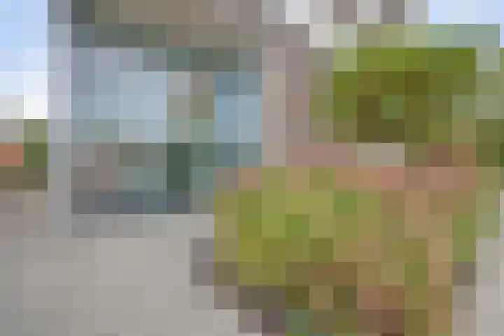 Akeleistraat 4 B Spijkenisse thumbnail 34