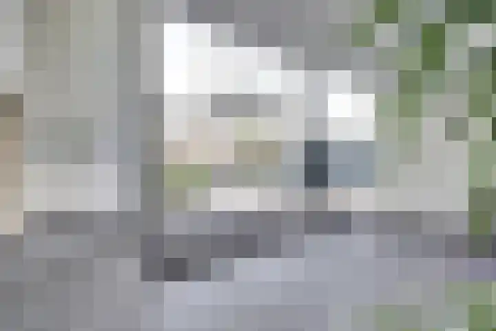 Akeleistraat 4 B Spijkenisse thumbnail 35
