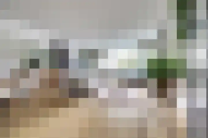 Akeleistraat 4 B Spijkenisse thumbnail 4