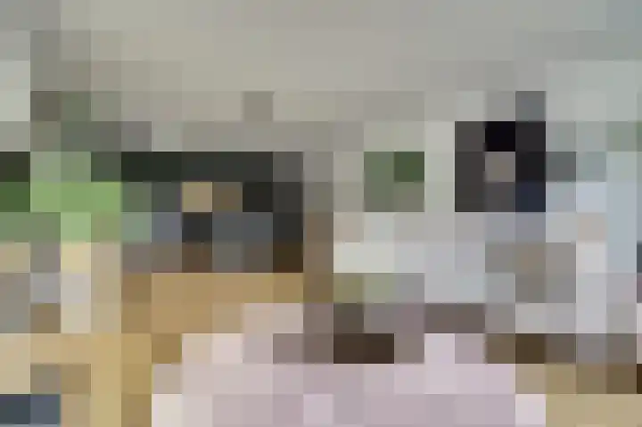 Akeleistraat 4 B Spijkenisse thumbnail 6