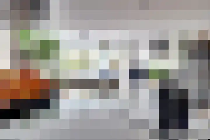 Akeleistraat 4 B Spijkenisse thumbnail 7