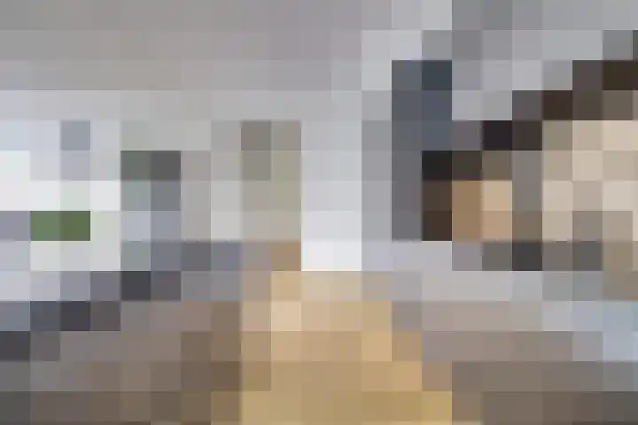 Akeleistraat 4 B Spijkenisse thumbnail 8