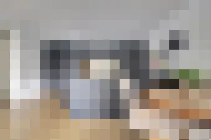 Akeleistraat 4 B Spijkenisse thumbnail 9