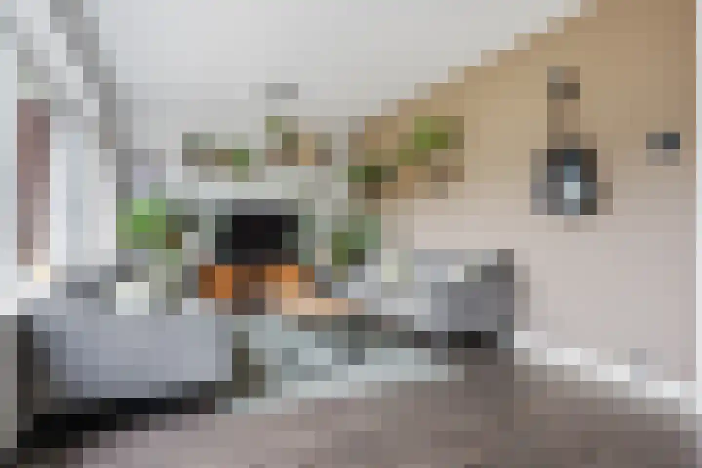 Akeleistraat 4 Wagenborgen thumbnail 10