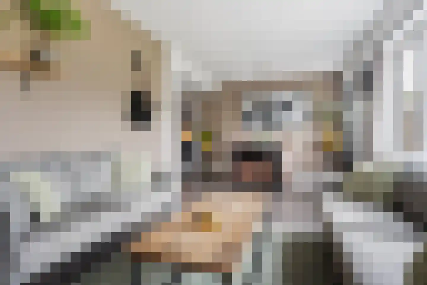 Akeleistraat 4 Wagenborgen thumbnail 11