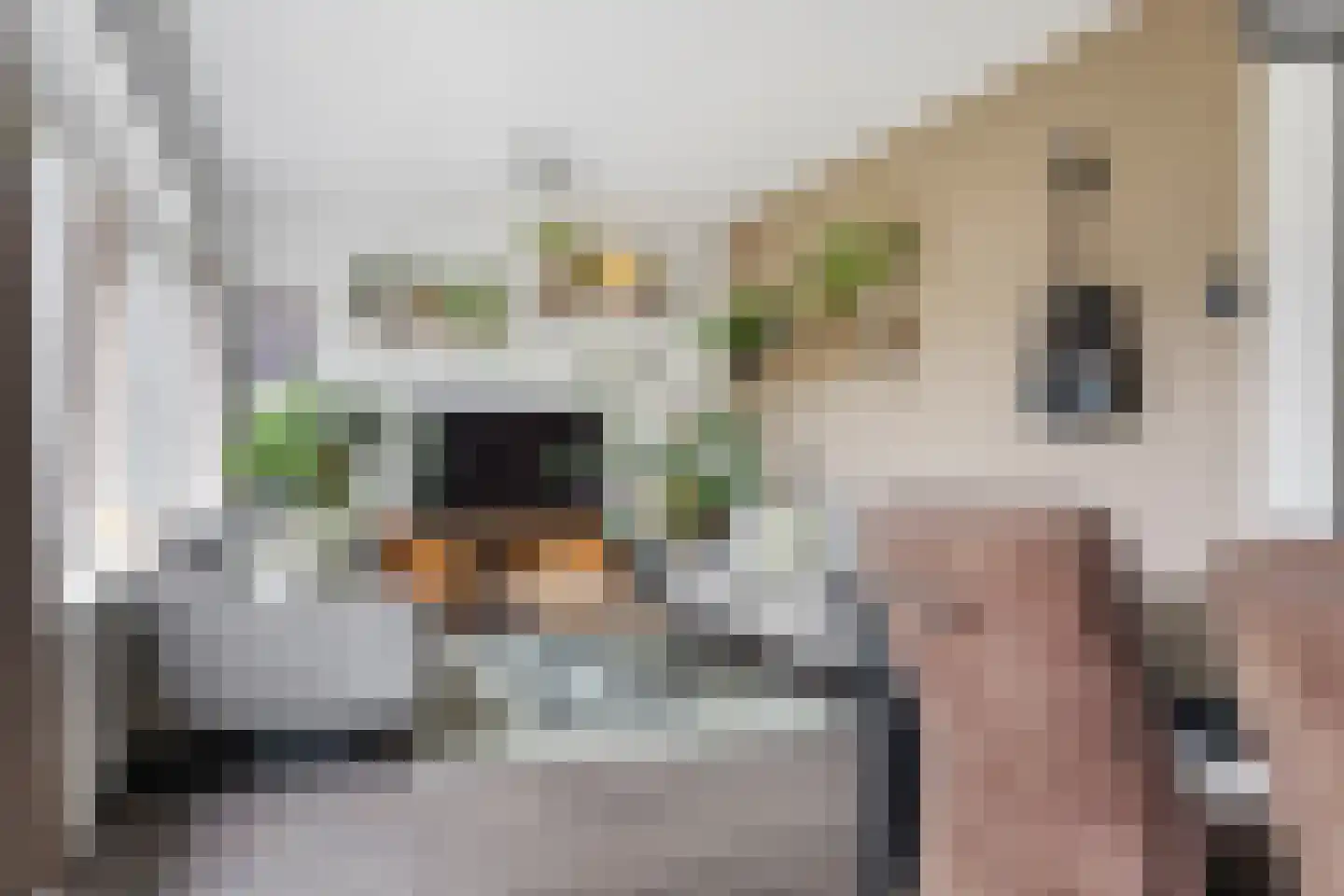 Akeleistraat 4 Wagenborgen thumbnail 12