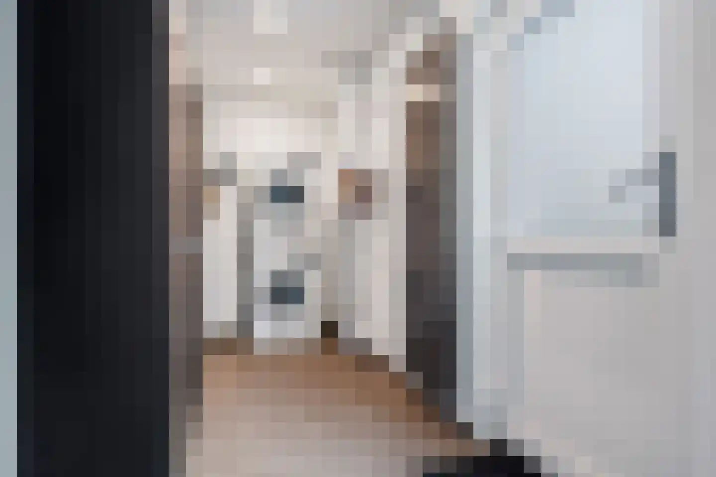 Akeleistraat 4 Wagenborgen thumbnail 14
