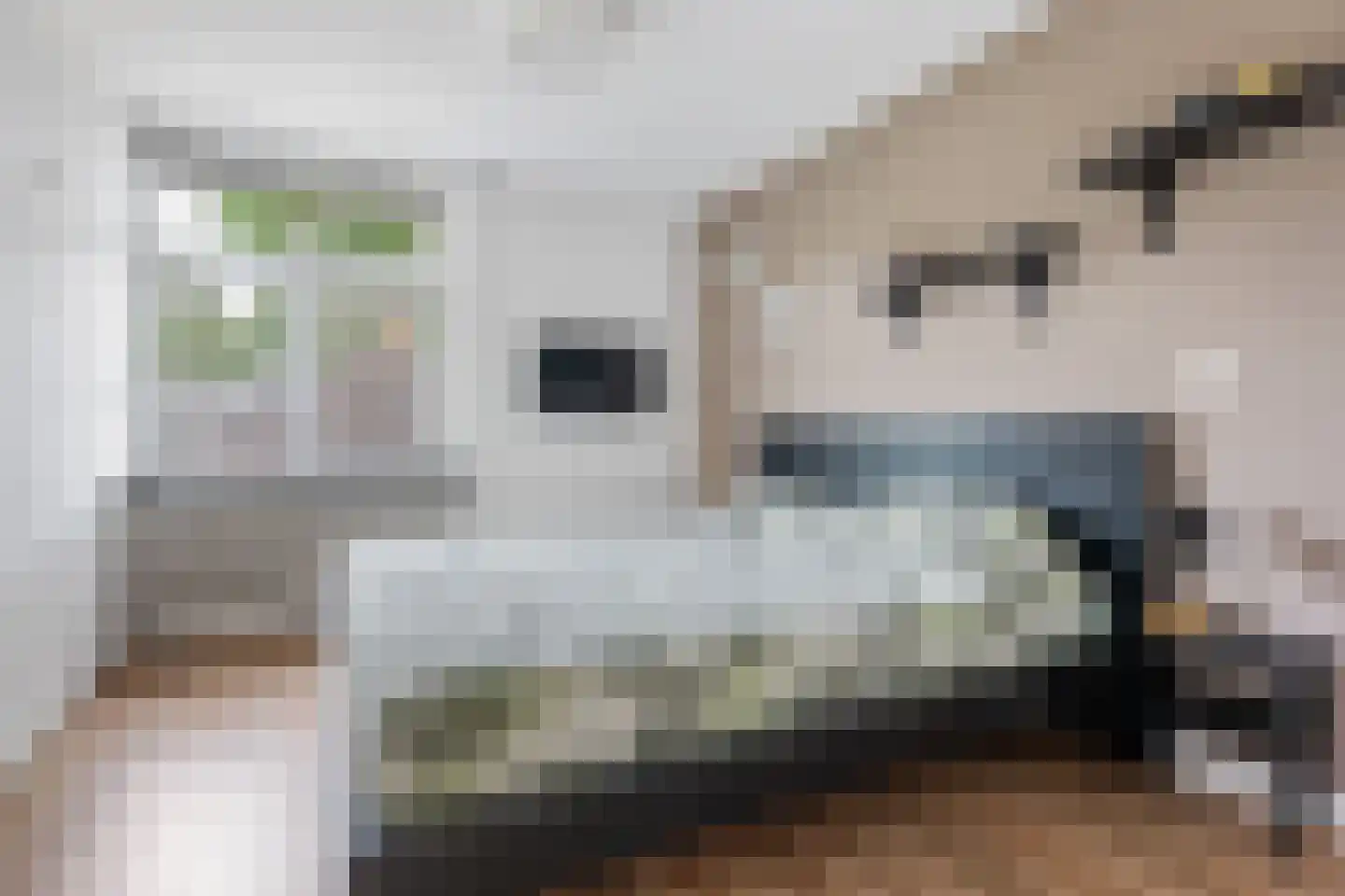 Akeleistraat 4 Wagenborgen thumbnail 20
