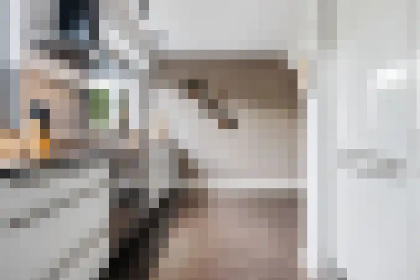 Akeleistraat 4 Wagenborgen thumbnail 7