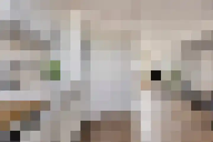 Akeleistraat 44 H Spijkenisse thumbnail 10