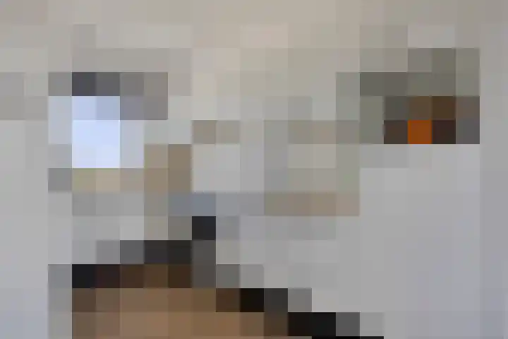Akeleistraat 44 H Spijkenisse thumbnail 11