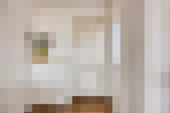 Akeleistraat 44 H Spijkenisse thumbnail 21