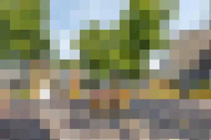 Akeleistraat 44 H Spijkenisse thumbnail 30