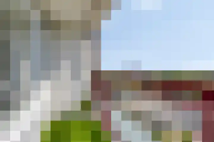 Akeleistraat 44 H Spijkenisse thumbnail 5