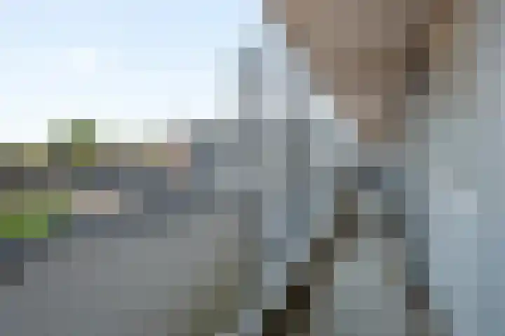 Akeleistraat 45 's-Hertogenbosch thumbnail 18
