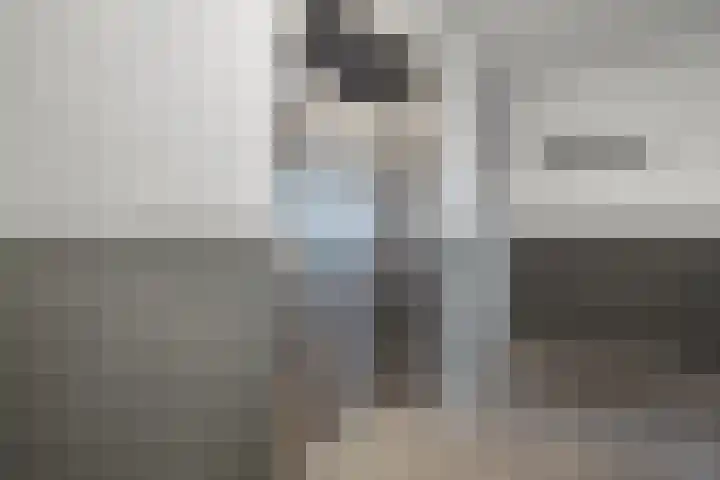 Akeleistraat 45 's-Hertogenbosch thumbnail 20