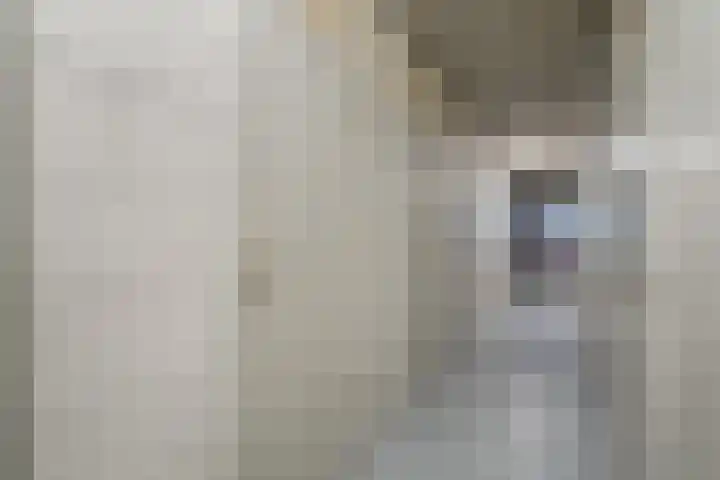 Akeleistraat 45 's-Hertogenbosch thumbnail 21