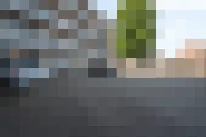 Akeleistraat 45 's-Hertogenbosch thumbnail 24
