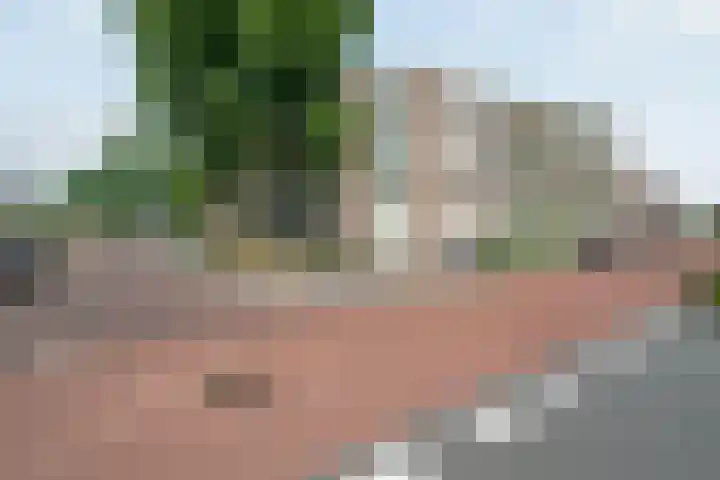 Akeleistraat 45 's-Hertogenbosch thumbnail 26