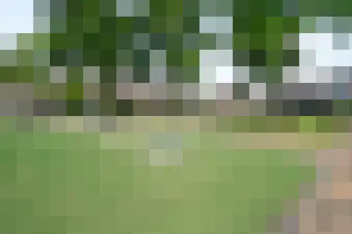 Akeleistraat 45 's-Hertogenbosch thumbnail 27