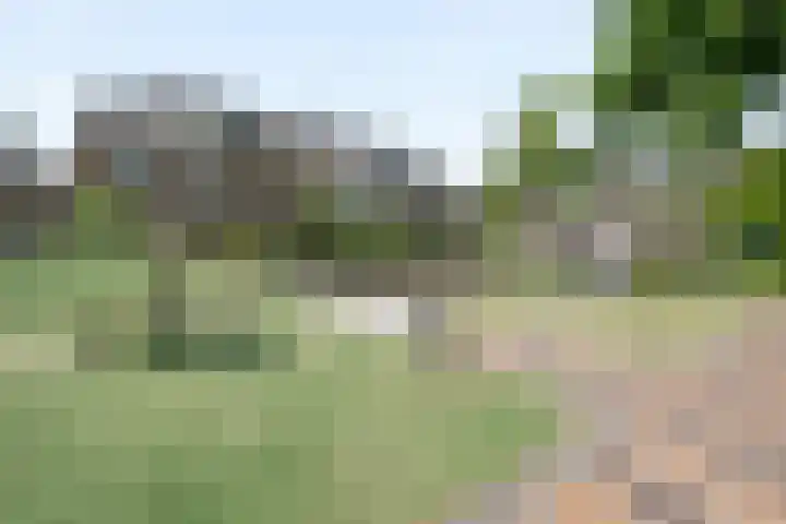Akeleistraat 45 's-Hertogenbosch thumbnail 28
