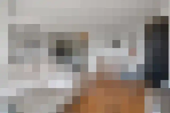 Akeleistraat 45 's-Hertogenbosch thumbnail 4