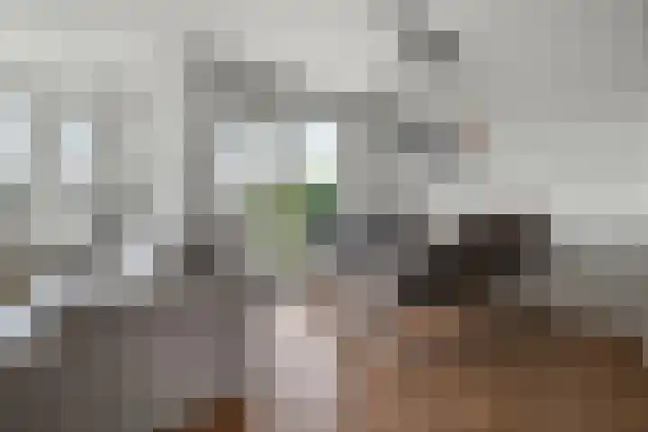 Akeleistraat 45 's-Hertogenbosch thumbnail 5