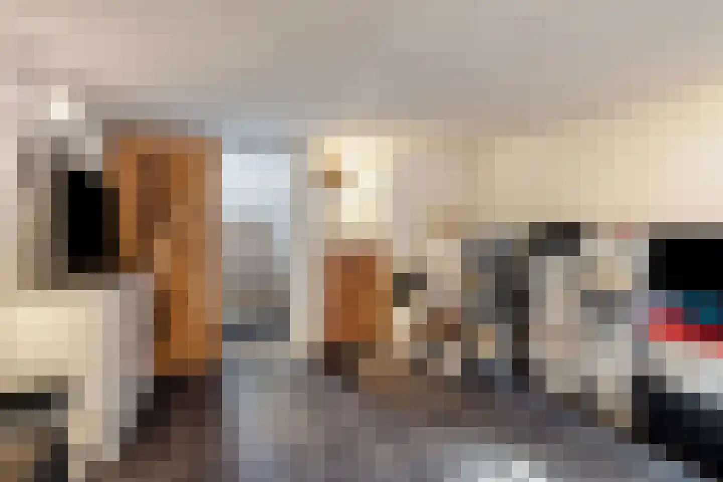 Akeleistraat 5 Alkmaar thumbnail 14
