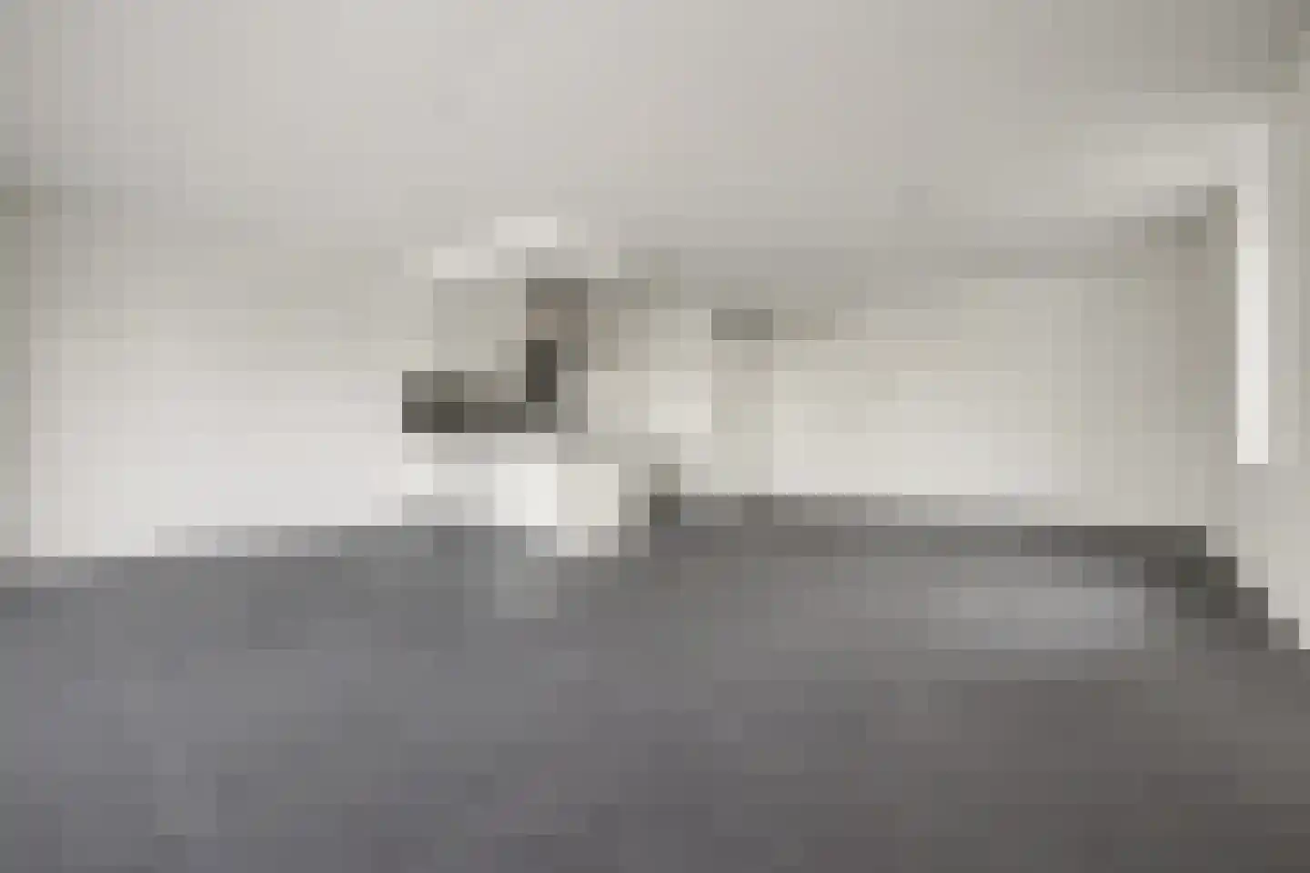 Akeleistraat 6 B Spijkenisse thumbnail 10