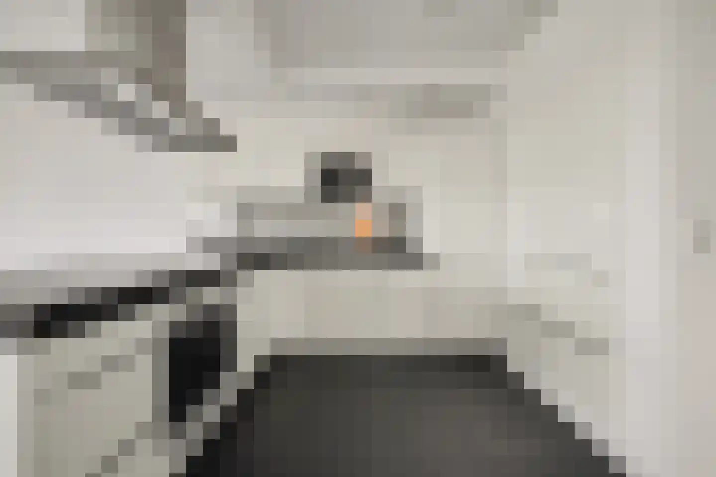 Akeleistraat 6 B Spijkenisse thumbnail 12