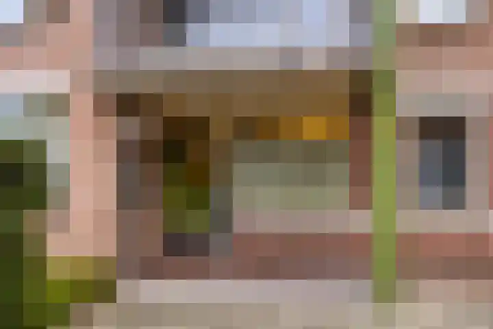 Akeleistraat 63 's-Hertogenbosch thumbnail 4