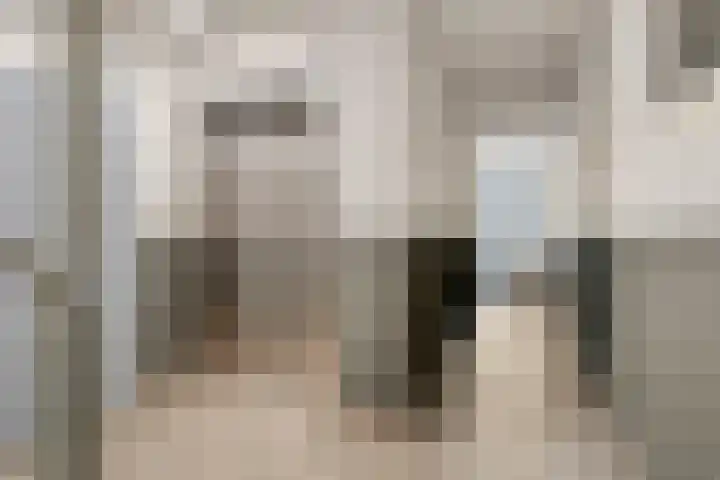 Akeleistraat 63 's-Hertogenbosch thumbnail 5