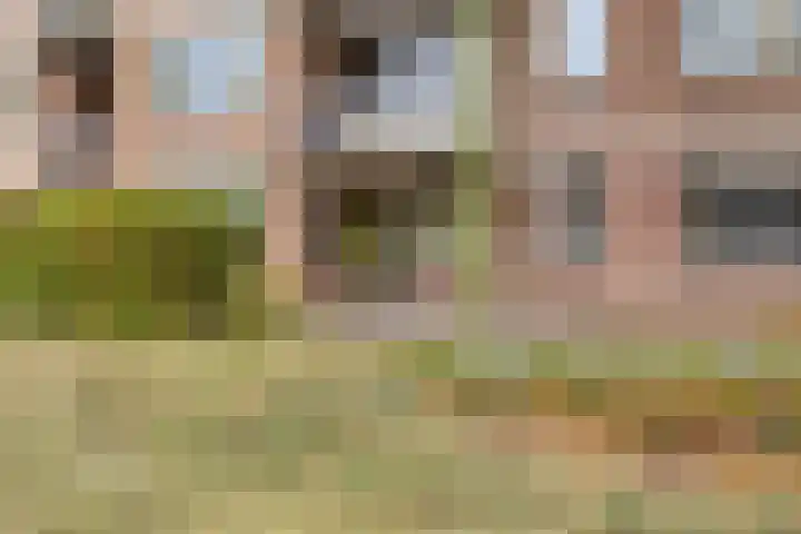 Akeleistraat 65 's-Hertogenbosch thumbnail 18