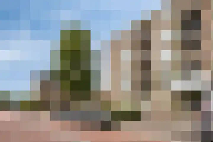 Akeleistraat 65 's-Hertogenbosch thumbnail 19